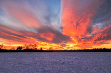 Colourful sunrise with glowing red clouds on a winter's day over the meadows and forests of Siebenbrunn, the smallest district of the Fugger city of Augsburg clipart