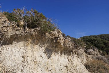 Kıbrıs 'ın Rum Kesiminde Uçurumu Bitkiyle Erotize Etti