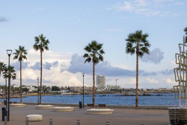 Kıbrıs, Paphos 'ta Palmiye Ağaçlarıyla Deniz Gezintisi, 20.11.2024