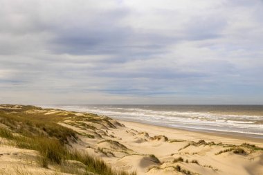 Fırtınalı bir günde, Hollanda 'nın Petten aan Zee sahilinde bulutlu bir gökyüzü ile denize bakan kumullara bakın.