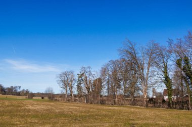 Diesen am Ammersee, Almanya 'da Çıplak Ağaçlar ve Mavi Gökyüzü ile Bavyera Kırsal Arazisi, 9 Mart 2025