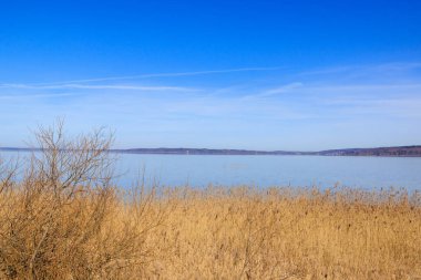 Diesen am Ammersee, Almanya 'da Çıplak Ağaçlar ve Mavi Gökyüzü ile Bavyera Kırsal Arazisi, 9 Mart 2025