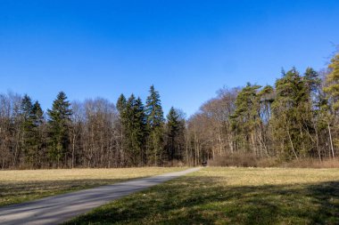 Orman kenarı ve mavi gökyüzü ile güneşli bir gün manzarası, Augsburg, Siebenbrunn, Almanya, 17 Mart 2025