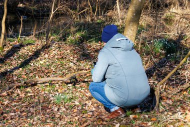 Augsburg, Siebenbrunn, Almanya, 17 Mart 2025 'te orman ortamında kar damlalarını fotoğraflayan kişi.