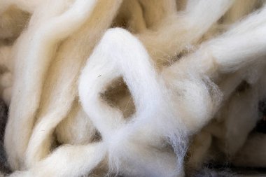 Kesmek ve döndürmek için doğal beyaz yün lifleri