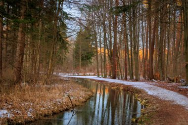 Brunnenbach nehri boyunca Siebenbrunn 'daki Siebentischwald ormanından geçen yol bir kış günü gün doğumunda