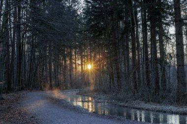 Brunnenbach nehri boyunca Siebenbrunn 'daki Siebentischwald ormanından geçen yol bir kış günü gün doğumunda.