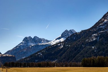 Karlı dağlık tepeler ve mavi gökyüzünün altındaki orman yamaçları, Otztal, Avusturya