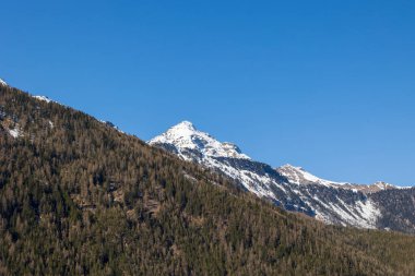 Karla kaplı dağ ve alp ormanları ilkbaharın başlarında, Otztal, Avusturya