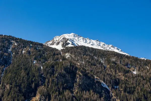 Karla kaplı dağ ve alp ormanları ilkbaharın başlarında, Otztal, Avusturya