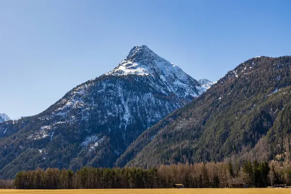 Karla kaplı dağ ve alp ormanları ilkbaharın başlarında, Otztal, Avusturya 