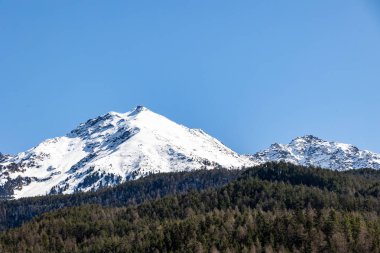 Berrak mavi gökyüzünün altındaki kozalaklı ormanın üzerindeki karla kaplı zirveler.
