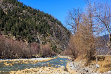 Kayalık kıyıları ve ilkbahar ağaçları olan dağ nehri, Alp manzarası, Otztal, Avusturya
