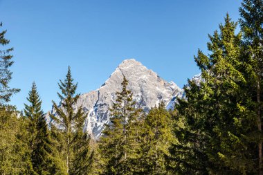 Zugspitze Çerçevelenmiş ladin ormanının kış ışığında