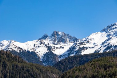 Berrak mavi gökyüzünün altındaki kozalaklı ormanın üzerindeki karla kaplı zirveler.