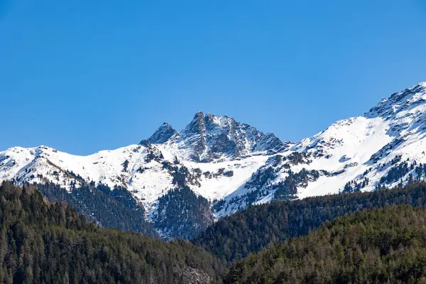 Berrak mavi gökyüzünün altındaki kozalaklı ormanın üzerindeki karla kaplı zirveler.