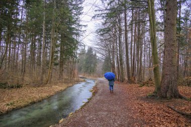Mavi ceketli, mavi şapkalı ve mavi şemsiyeli beyaz bir kadın kışın ağaçlar arasında bir orman yolunda durur ve ufka doğru bakar.