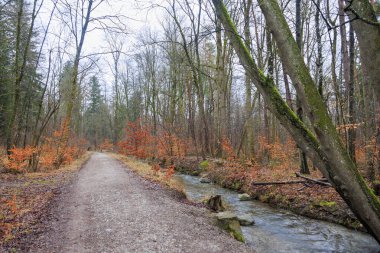 Kışın, Augsburg yakınlarındaki Siebenbrunn ormanında Brunnenbach nehri boyunca orman yolu.