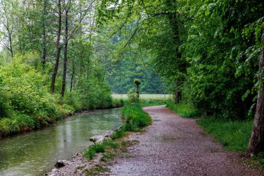 Nehir boyunca yağmurlu orman yolu, ilkbahar yeşillikleri, Almanya