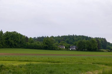 Ormanlı ve arka planda evleri olan kırsal çayır.