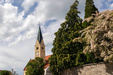 Kolkwitzia amabilis ve sonbahar ışığı altında kilise kulesi