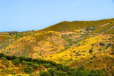 Mavi gökyüzü altında dağınık çalılıkları olan altın tepeler, Fransa, Korsika, Ajaccio, 13 Haziran 2025