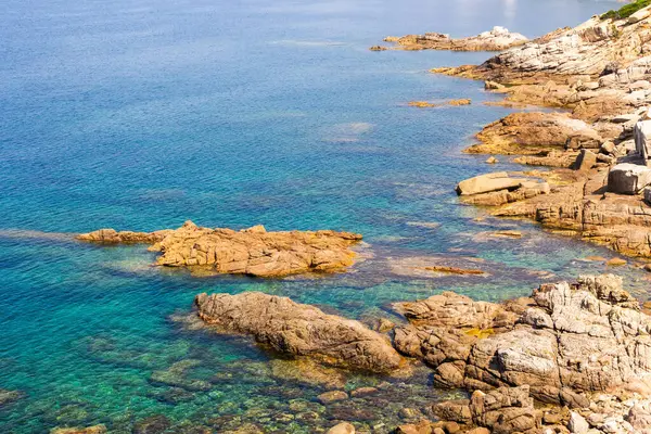 Akdeniz bitki örtüsü ve mavi denizli sahil kayalığı, Korsika, 13 Haziran 2025