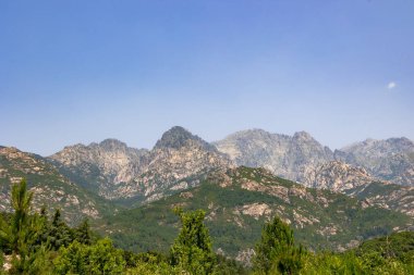 Monte dOro zirvesi ve orman yamaçları, Fransa, Korsika, Monte dOro, 14 Haziran 2025