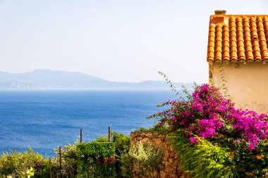 Bougainvillea ve deniz manzaralı taş ev, Fransa, Korsika, Cargse, 15 Haziran 2025