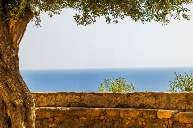 Eski zeytin ağacı çerçeveli deniz manzarası, Fransa, Korsika, Cargse, 15 Haziran 2025