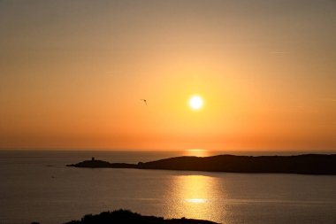 Martı gün batımında Ceneviz Kulesi üzerinde uçuyor, Fransa, Korsika, Cargse, 18 Haziran 2025