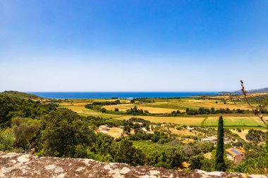 Deniz manzaralı tarım alanları Fransa, Korsika, Cargse, 18 Haziran 2025
