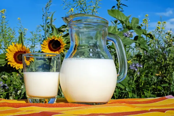 jug of milk and glass on background of summer landscape
