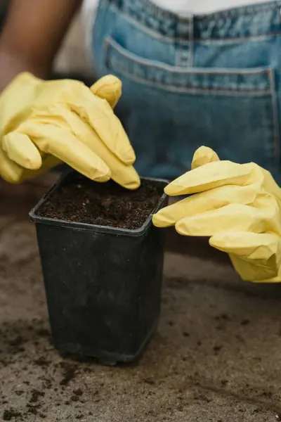 Bahçedeki toprağa çiçek eken bir kadın. Bahçe ve tarım kavramı