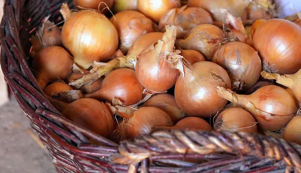 Sokak yemeklerinde kestane