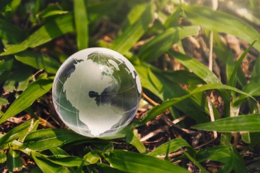 globe glass on green grass background. environment concept