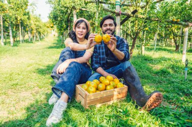 Couple gardener working in orange farm sitting with holding orange fruit. concept agriculture