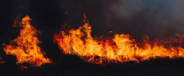 Alevler gökyüzüne yükselirken, ateş ormanda yanıyor. Tehlike ve yıkım kavramı