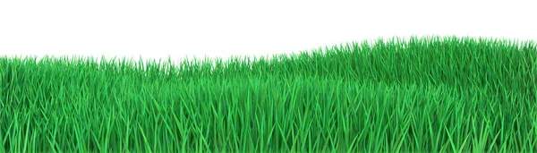 Groen Veld Met Heuvels Lang Gras Geïsoleerd Landschap Weergave — Stockfoto