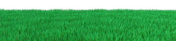 Green grass field landscape isolated on white background. 3D rendering