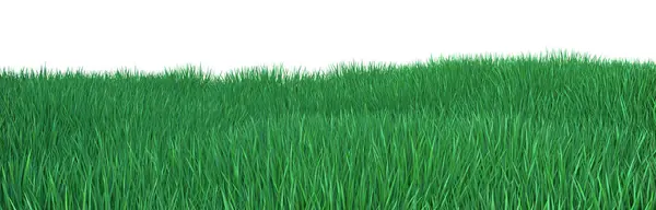 翠绿的草地上有小山 与世隔绝的风景 3D渲染 — 图库照片