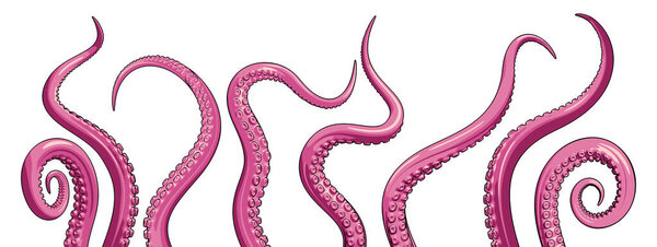 A vector set of pink octopus tentacles. Underwater monster graphic