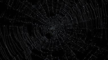 Siyah arkaplanda su damlaları olan örümcek ağı