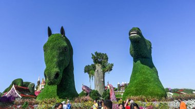 Dubai, BAE - 28 Ekim 2023: Miracle Garden Dubai Birleşik Arap Emirlikleri 'nin Dubai şehrinde bulunan bir botanik bahçesi..