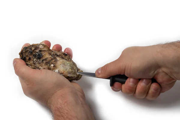 stock image  The process of opening oysters, a knife for oysters, male hands open oysters. The oyster opening is in focus and the persons hands . High quality photo