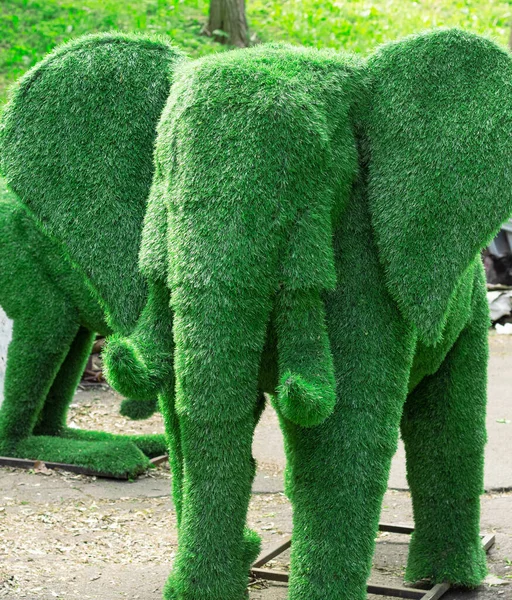 elephant created from bushes at green animals. garden decoration. Figures for the exhibition of artificial grass. Topiary gardens. garden statues, sculptures.