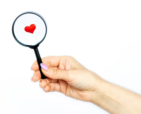 stock image heart lies under a magnifying glass on a white background, isolate. female hand holds a magnifying glass. The concept of searching , looking for love, love background. romantic minimalism background