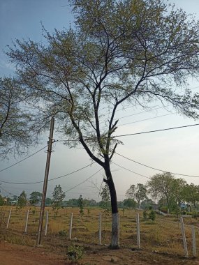 Parkın güzel manzarası