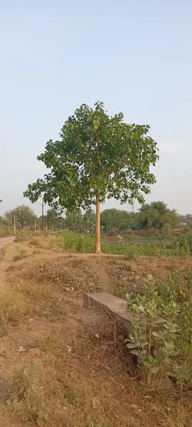 rural road in india