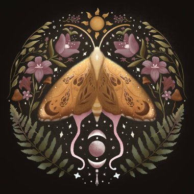 Ay güvesinin eğreltiotu ve çiçekleri mistik simetrik el, halk çiçekleriyle kelebek çiziyor, ay yıldızlarını karanlık arka planda göksel elementler bırakıyor, yazılı tişörtler için ev dekoru boho